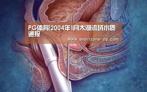 PG官网