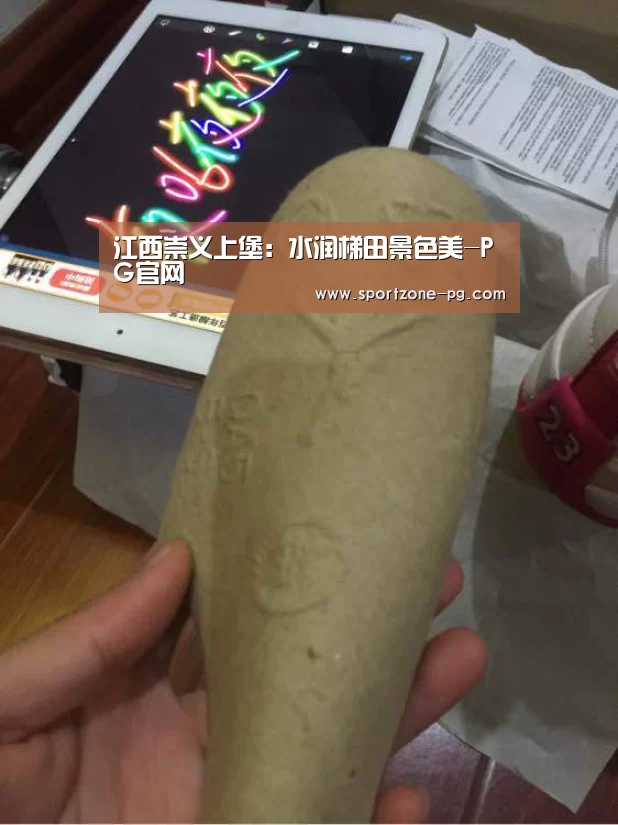 江西崇义上堡:水润梯田景色美-PG官网(图2) PG地址